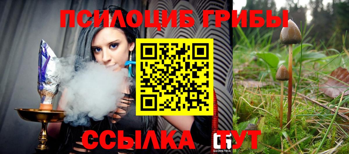 Галлюциногенные грибы мицелий  Вход с VPN  Галлюциногенные грибы MAGIC MUSHROOMS  Рыбинск 